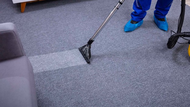 A person wearing blue shoe covers is cleaning a gray carpet with a carpet cleaning machine, leaving a visibly cleaner path next to a sofa.